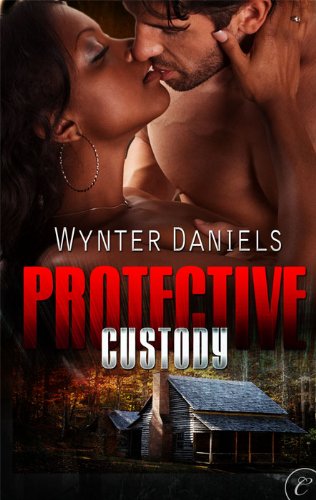 Protective Custody: A Contemporary Romantic Suspense Novel of Action and Second Chances