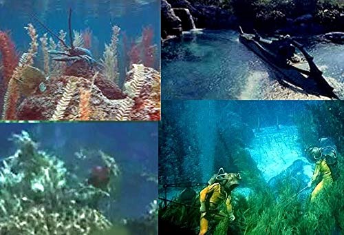 20,000 Leagues Under The Sea, Submarine Prop Plants, Plexi Case, Photos, Coa #TOP6