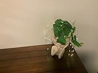 Review Image by Kesha B Kesha B