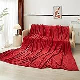 Dearfoams Oversized Super Soft Royal Plush Velvet Family Blanket for All Seasons- 10' x 10' (120'x120') - XL Blanket - Burgundy