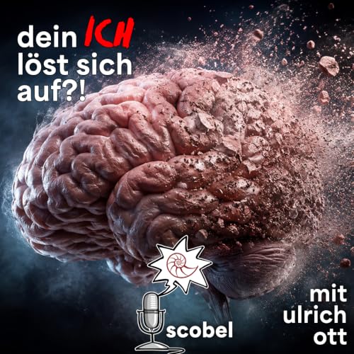 Was passiert wirklich im Gehirn, wenn wir meditieren? &ndash; scobel im Gespr&auml;ch: Mit Ulrich Ott