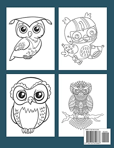 Owls Coloring Book For Adults: Wonderful Owls Coloring Book For Adults