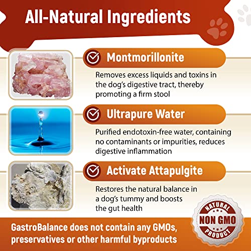 GastroBalance Hund durchfall Stop - Schnell wirkende natürliche Hund durchfall behandlung für kleine Hunde 10 kg - 250 ML