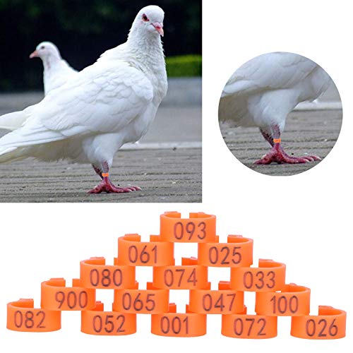 100 stks Vogels Voet Ringen Nummer Identificatie Duiven Been Bands Gevogelte Clip Ring Gevogelte Been Ring Vogel Clip… - Afbeelding 5