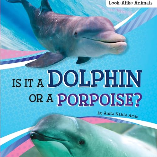 Is It a Dolphin or a Porpoise? - Anita Nahta Amin episode artwork