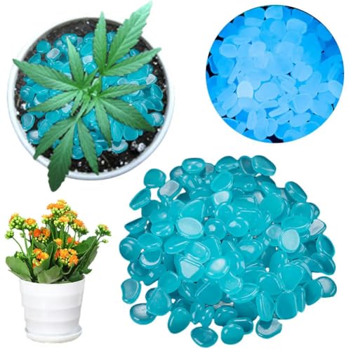 Yogaes 100 Stück leuchtende blaue Gartenkiesel FLAJ