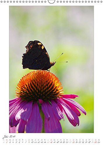 Blumengarten (Wandkalender 2017 DIN A3 hoch): Fotografien von wunderschönen Blumen und Blüten. (Monatskalender, 14 Seiten) (CALVENDO Natur) [Apr 09, ... Angela und DESIGN Photo + PhotoArt, AD