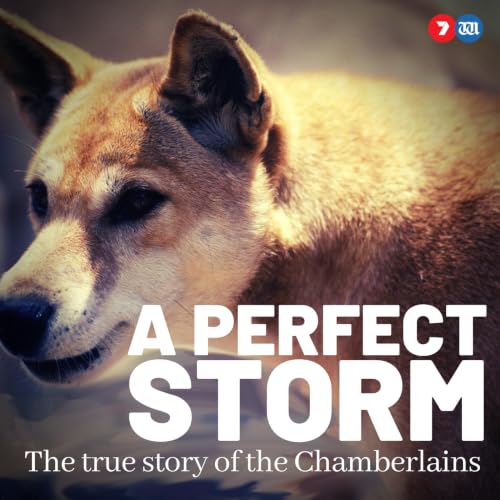 A Perfect Storm: The True Story of The Chamberlains cover art