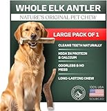 Mountain Valley Elk Antlers for Dogs - 100% Natural & Organic Chew for Aggressive Chewers, No Odor, No Mess, Long Lasting - Wild-Foraged Naturally Shed Antlers in USA - Grade A, Whole Large (1 Pack)