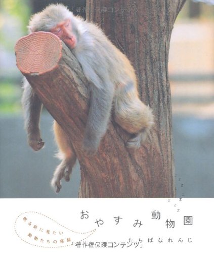 おやすみ動物園 眠る前に見たい動物たちの寝顔 たちばな れんじ 本 通販 Amazon