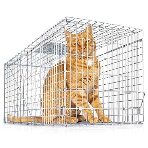 Exuby Large Cat Trap For Stray / Feral Cats & Other Animals - 32"X12"X13” - Catch Them Live & Relocate - Extra Large 8.5" Trigger Platform - Also For; Racoon, Rabbit, Possum, Skunk, Bobcat, Squirrel #TOP19