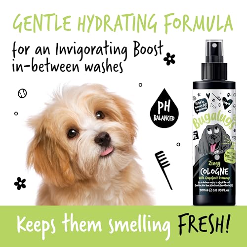 Cologne für Hunde – 200 ml – Grapefruit und Orange – Duftspray mit Zitrusfrucht, erfrischend und Deodorant für sauberes Haar, natürliche Formel für den täglichen Gebrauch und empfindliche Haut