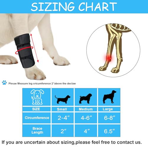 Buying Guide GEEPET Legs Out FrontFacing Dog Carrier HandsFree