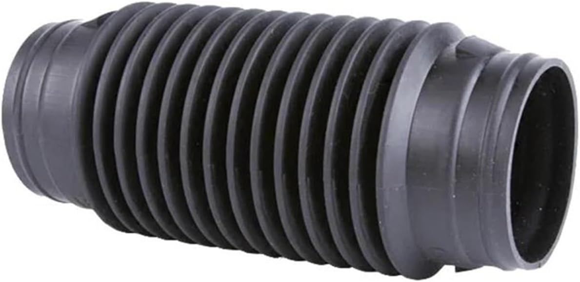 ブランド不明 極トラ目のカーリーメイプルキュー