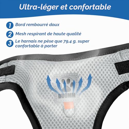 Aedcbaide Arnet pour Chat,Harnais Chien Anti évasion avec Corde de Traction Télescopique Automatique de 5m/16.4 Ft, Réglable et Anti Fugue Harnet pour Chat, Harnais Chaton (M) – vue 5