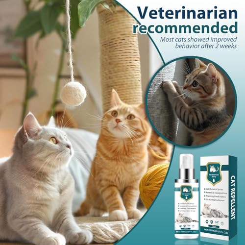 Advanced Cat Deterrent Spray, Natural Formula Cat Repellent Indoor and Outdoor, Strengthened Cat Scratch Deterrent for Furniture, Sofas, Rugs, Curtain Protection, Stop Cats from Urinating (Green) by LONPAL - Used condition - Image 2
