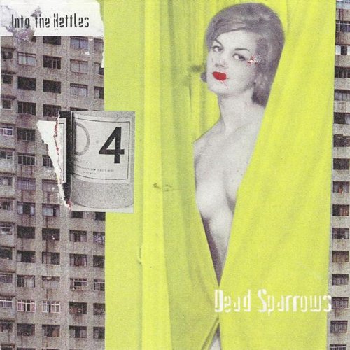 Best Bird Food For Crows