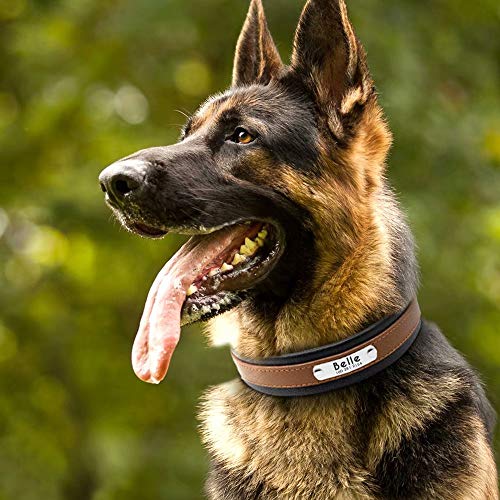 Pet Artist Hundehalsband aus Leder, mit Namensschild, personalisierbar, für große Hunde, Größe M/L/XL in Schwarz, Blau, Braun, Hot Pink, Rot und Lila