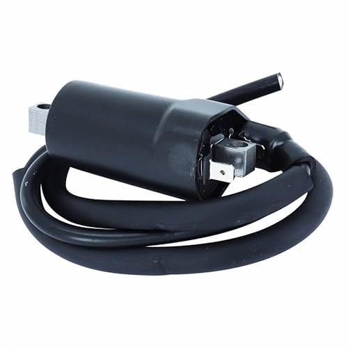 D.I.D 162410 Spule 12V Ducati 600/750/900 Monster/Ss, Mehrfarbig