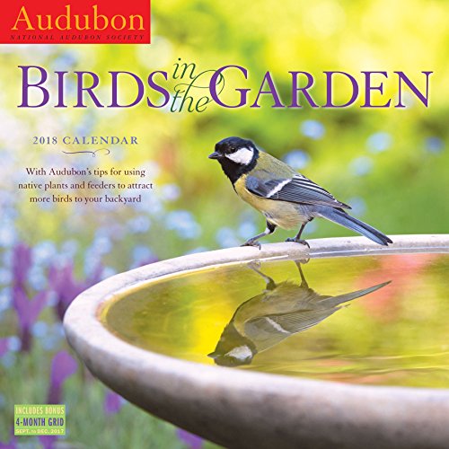 Télécharger Audubon Birds in the Garden 2018 Calendar Gratuit