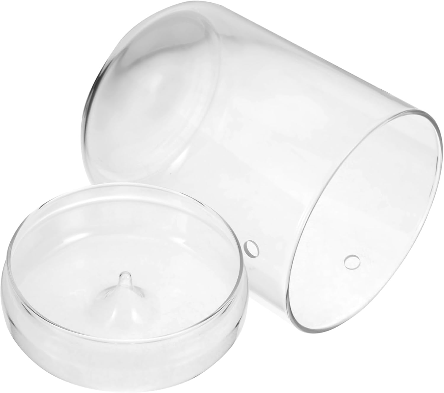 Glass Terrarium Vase for Landscape Plant Holder for Office and Home Decor Moss Planter Creative Tabletop Display