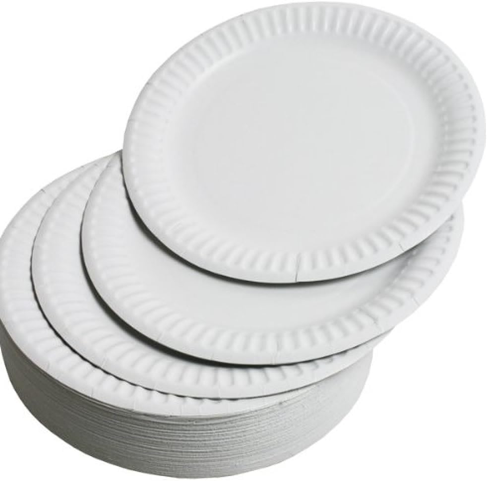 30 Paper Plates 23cm 9inch Paper Plates, Disposable Plates, Party