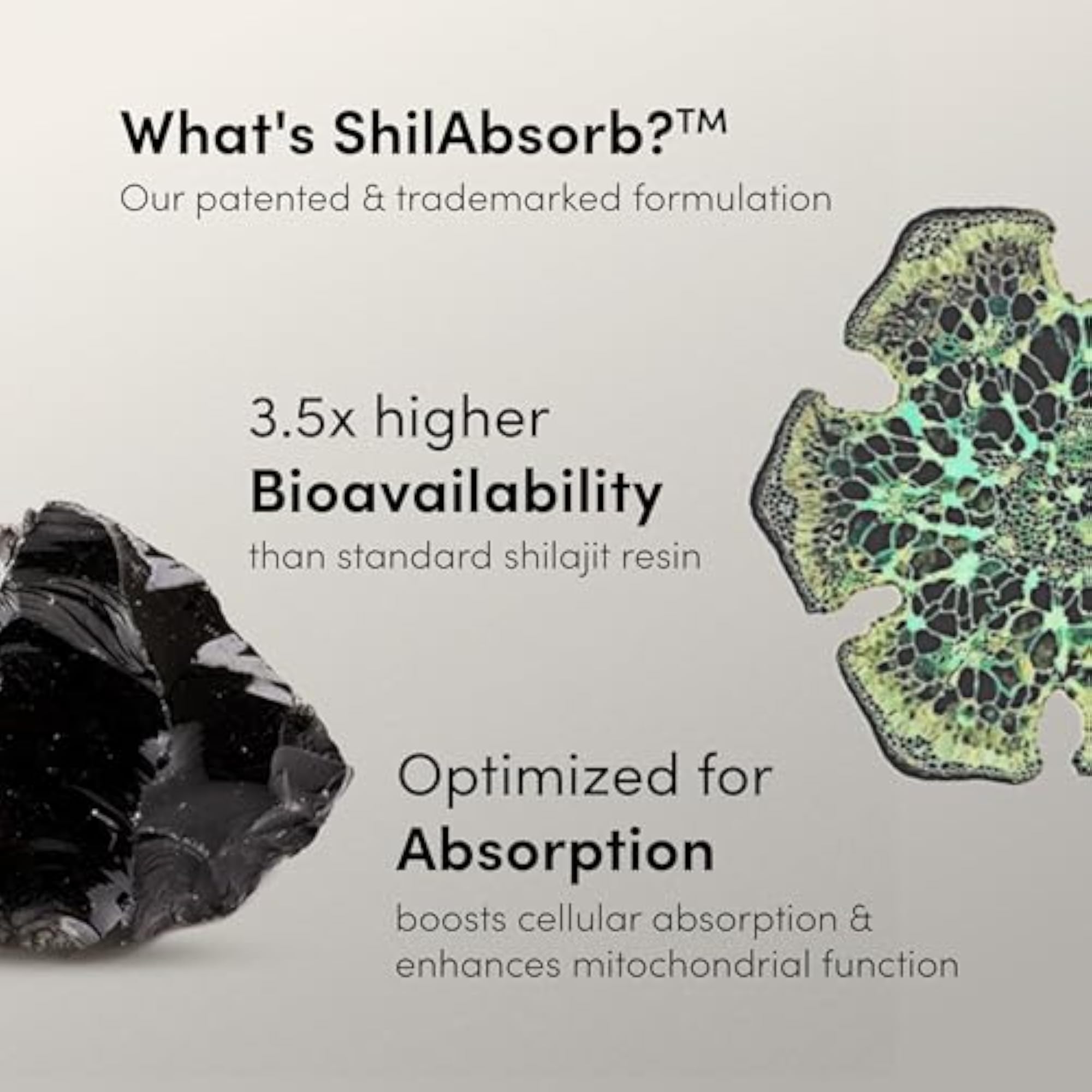 Himalayan Shilajit Gummies with Fulvic Acid & Ashwagandha
