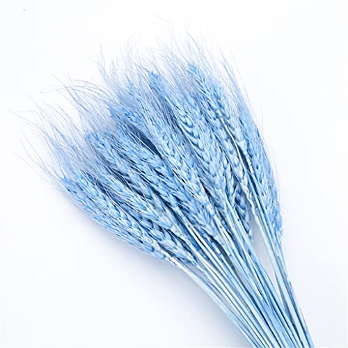 Adorno Ramillete de Trigo Seco Natural 50 Piezas Azul miniatura 1