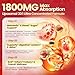 14-in-1 Berberine with Ceylon Cinnamon Supplement Liquid Drops, 1800mg + 30:1 Liposomal Tech with Cayenne Pepper, Soursop, Chromium, Bitter Melon, Turmeric, Moringa, Gymnema, Glucomannan, GLP Support
