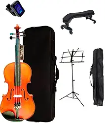 Violino Eagle Ve245 4/4 Verniz Master Série + Kit