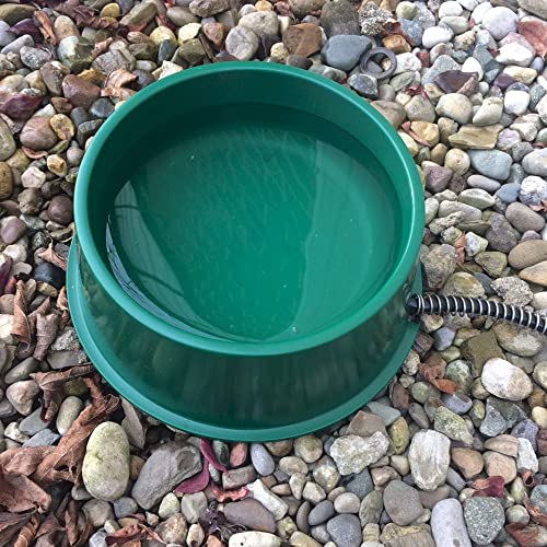 Farm Innovators Qt-1 1 Quart Electric Heated Pet Water Bowl With Thermostatic Control And Anti Chew Cord Protector, 25 Watt, Green (2 Pack) #TOP2