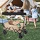 Bollerwagen Dach, Regenschutz für Bollerwagen, für Vierseitig klappbarer Bollerwagen Handwagen Abnehmbares Markise, Staubdicht Regendicht Sonnendicht und Laubdicht, Bollerwagen Camping Bubehör
