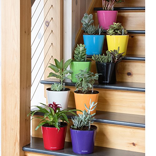 Window Garden Aquaphoric Self Watering Planter (7”) + Fiber Soil = Foolproof Indoor Garden. Decorative Planter Pot for House Plants, Flowers, Herbs, Violets, Succulents. Easy Looks Great.