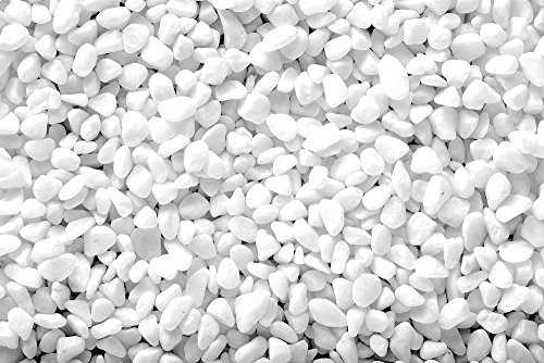 Exotic Mini 4-6mm Beach Pebble Stone Rocks/Coated Polished Pebbles - Terrarium, Succulents (Outdoor Exotic Mini 4-6mm Beach Pebble Stone Rocks/Coated Polished Pebbles - Terrarium, Succulents (Outdoor