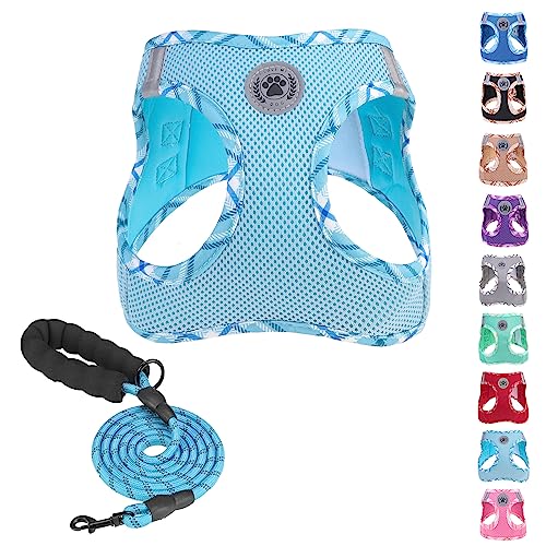 BEAUTYZOO Dog Harness and Leash Set for Small Medium Dogs,No Pull Step-in Harness for Puppy S M Sized Dogs and Cats,Air Mesh Adjustable Breathable Soft No Chock Escape Proof Vest Harness,Sky Blue L