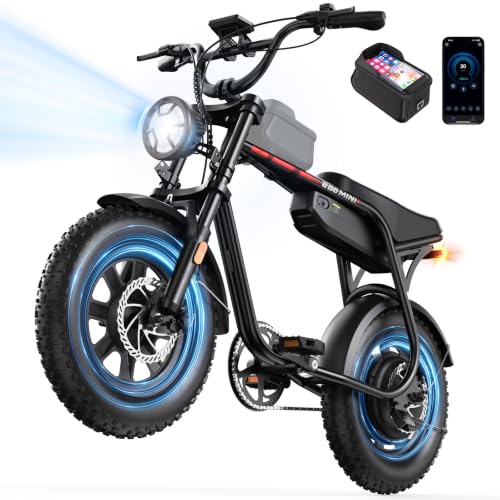 Flydone 16-Inch Fat Tire Electric Bike