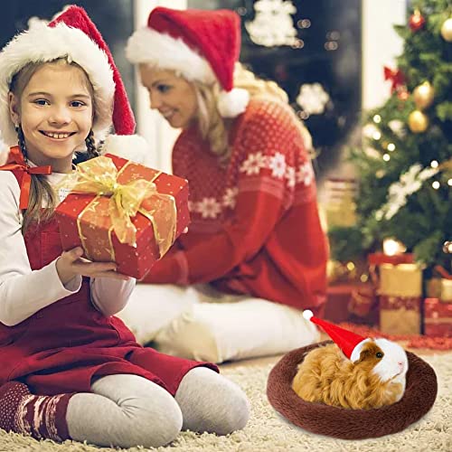 Febsnow Guinea Pig Beds, Hamster Bed Hedgehog Bed For Hamster/Hedgehog/Squirrel/Tortoise/Lizard And Other Small Animal (Coffee) #TOP6