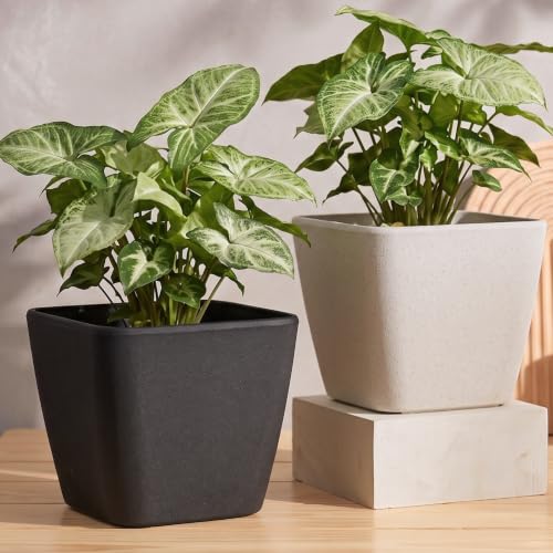 Image of Eha Earth-Friendly Daisy 9 inch Pots and Planters Made with Rice Husk, Set of 2