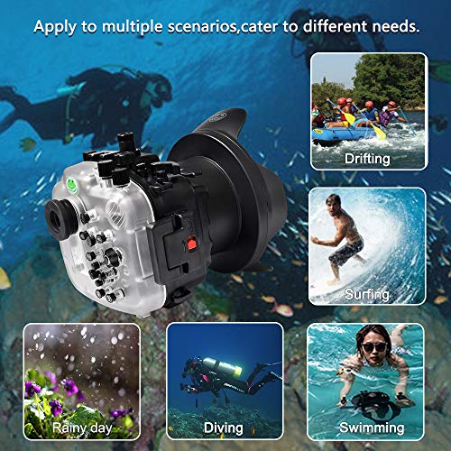 Ficha técnica Sea frogs Carcasa impermeable para cámara Sony A7S III FE16-35 mm 40 m 130 pies A7SIII 16-35 mm - Fernando Cortés Ficha técnica Sea frogs Carcasa impermeable para cámara Sony A7S III FE16-35 mm 40 m 130 pies A7SIII 16-35 mm - Fernando Cortés