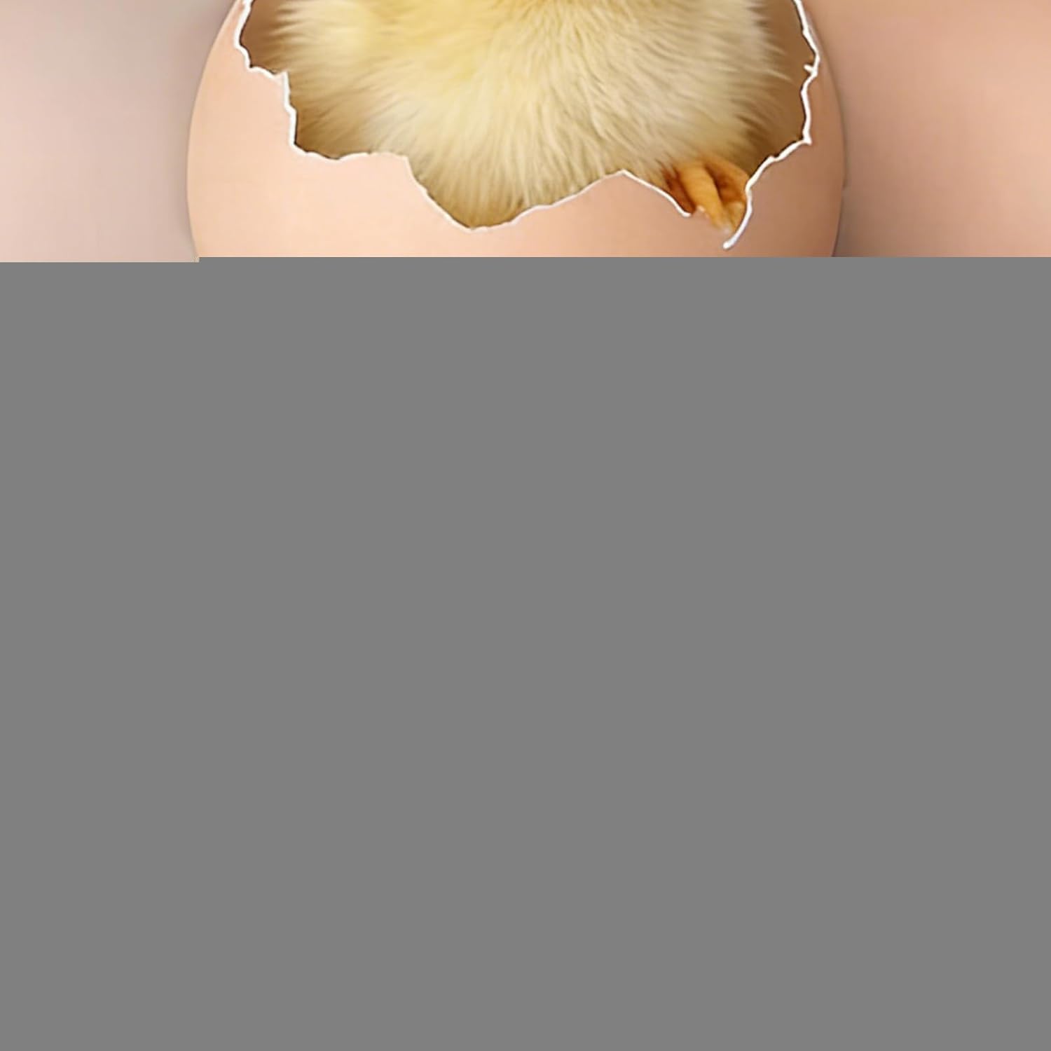 Hatch View - Chicken Egg Incubator for Small Batches | 6 Slot Poultry Candler System, Clear Window Hatching Chamber with Automatic Temperature and Humidity Control for Chicken, Duck, Quail and Bird Fa