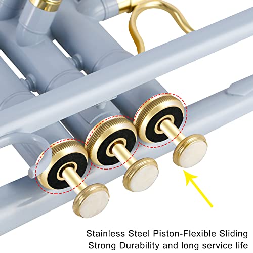 Eastrock Bb Trumpet Standard Trumpet Set With Carrying Case,Gloves, 7C Mouthpiece, Cleaning Kit, Tuning Rod, Gray (Hand Carved Craft) #TOP1