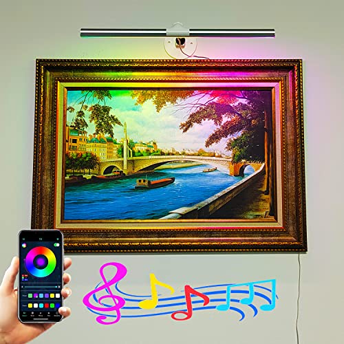 Acnctop Picture Light Rgb Display Lighting - Colorful Wall Art Light With App Music Sync Multi Dynamic Modes Led Lights For Paintings Frame Artworking Portrait Gallery Tapestry Home Wall Decor #TOP15