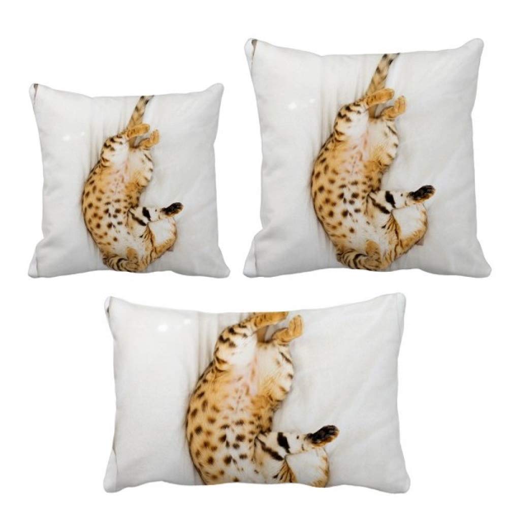 Coussin de décoration de canapé motif animal félin ocelot salon