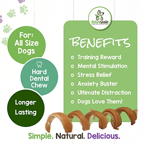 Nature Gnaws Bully Stick Springs For Dogs - Premium Natural Beef Dental Bones - Long Lasting Curly Dog Chew Treats For Aggressive Chewers - Rawhide Free 6 Count (Pack Of 1) #TOP4