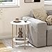 CAMOAT Side Table, Round End Table with 2 Storage Shelves, Compact Living Room Accent Table, Space-Saving Small Bedside Table, 18x18x22in, Marble White