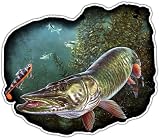 Pike Sticker Musky Sticker Fishing Sticker - Freshwater Wildlife Car Bumper Vinyl Fish Sticker Decal for Vehicles Boats Laptops Windows Skateboards and Luggage Stickers for Men and Women 5'X4' sr21