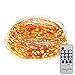 ER CHEN(TM) 165ft Led String Lights,500 Led Starry Lights on 50m Copper Wire String Lights + 12V DC Power Adapter(Warm White)