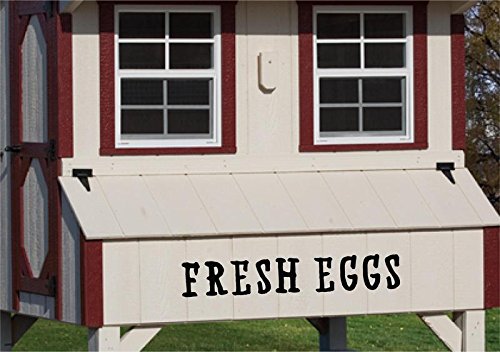 Enchantingly Elegant fresheggs Fresh Eggs Vinyl Decal Wall Decor Stickers Words Lettering Chicken Coop Sign DÃ©cor 36x6, 36" X 6"