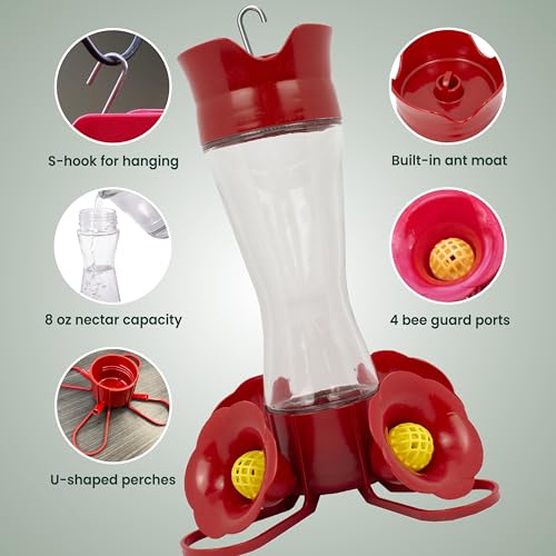 image for Perky-Pet 203CPBN-2 Glass Hummingbird Feeders for Outdoors with Perche