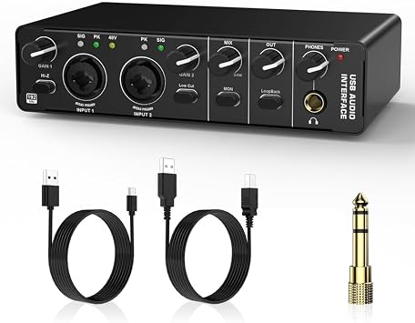 USB Audio Interface, 2 in 2 Out Audio Interface with 48V Phantom Power for Recording,for Guitarist, Vocalist, Podcaster